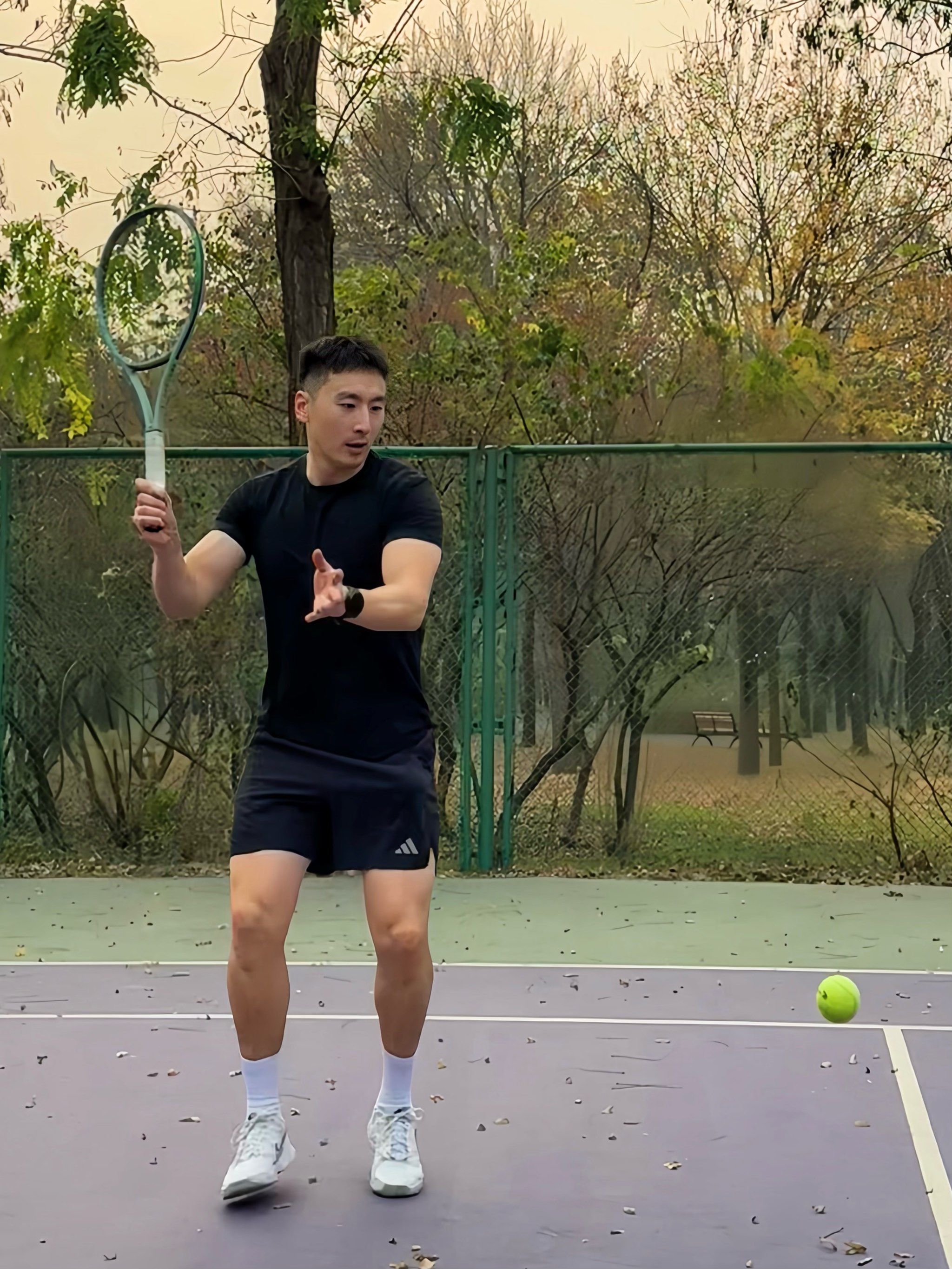 王艺迪与郑 王艺迪与郑